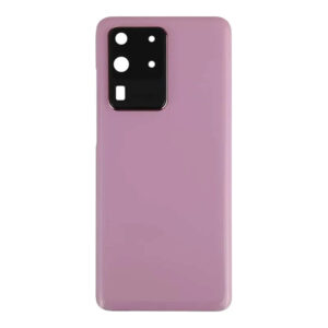 Samsung Galaxy S20 Ultra Back Glass & Camera Cover